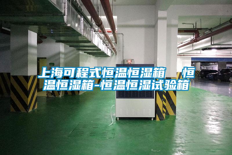 上?？沙淌胶銣睾銤裣? 恒溫恒濕箱-恒溫恒濕試驗箱