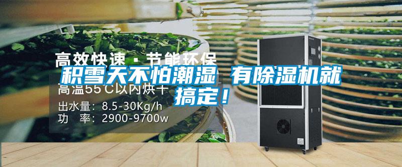 積雪天不怕潮濕 有除濕機就搞定！