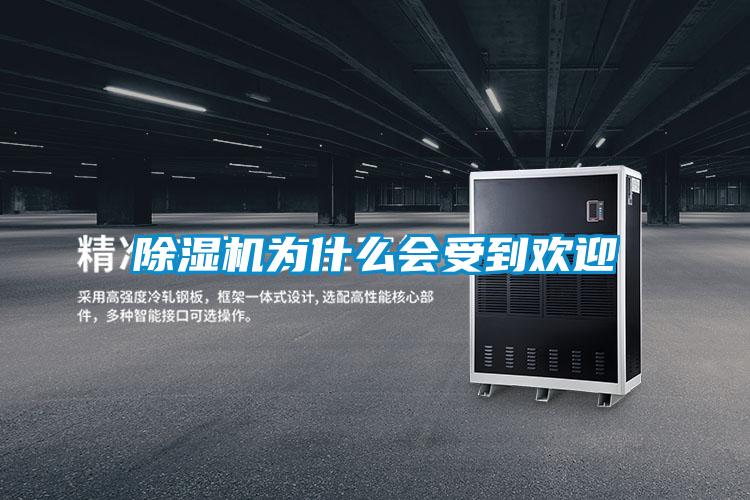除濕機為什么會(huì )受到歡迎