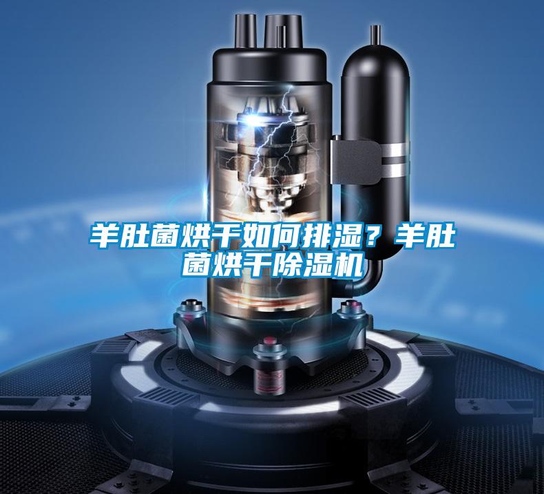 羊肚菌烘干如何排濕？羊肚菌烘干除濕機