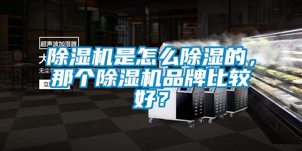 除濕機是怎么除濕的，那個(gè)除濕機品牌比較好？