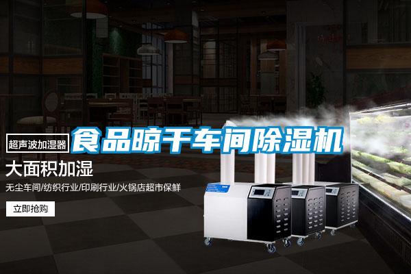 食品晾干車(chē)間除濕機