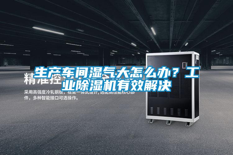 生產(chǎn)車(chē)間濕氣大怎么辦？工業(yè)除濕機有效解決