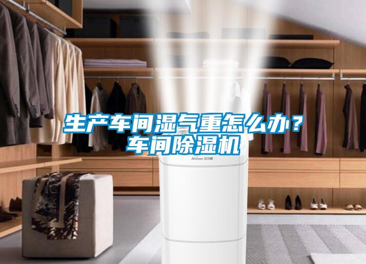 生產(chǎn)車(chē)間濕氣重怎么辦？車(chē)間除濕機