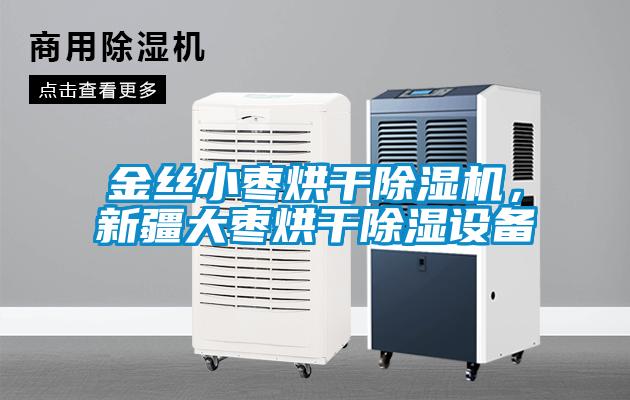 金絲小棗烘干除濕機，新疆大棗烘干除濕設備