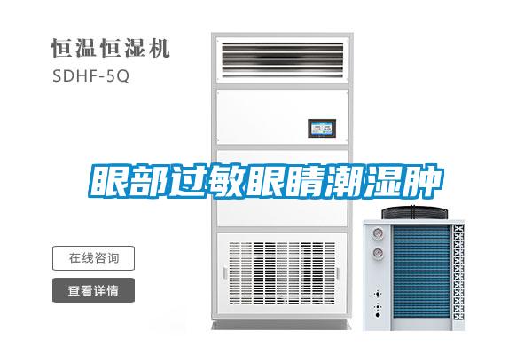 眼部過(guò)敏眼睛潮濕腫