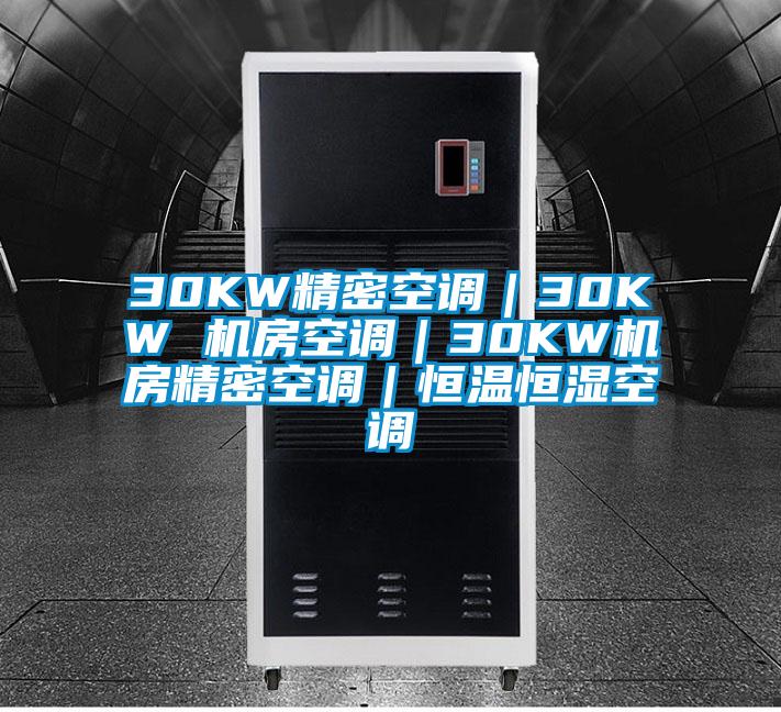 30KW精密空調｜30KW 機房空調｜30KW機房精密空調｜恒溫恒濕空調