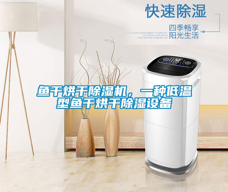 魚(yú)干烘干除濕機，一種低溫型魚(yú)干烘干除濕設備