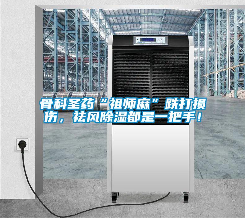 骨科圣藥“祖師麻”跌打損傷，祛風(fēng)除濕都是一把手！
