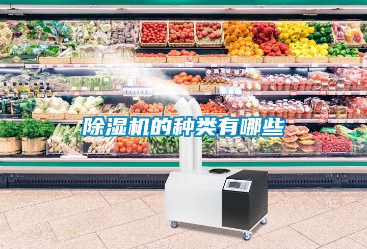 除濕機的種類(lèi)有哪些