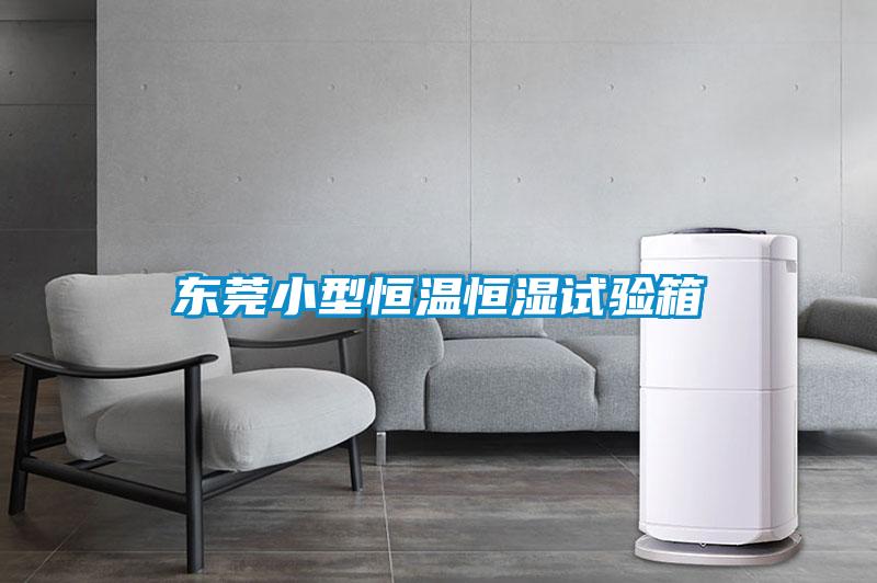 東莞小型恒溫恒濕試驗箱