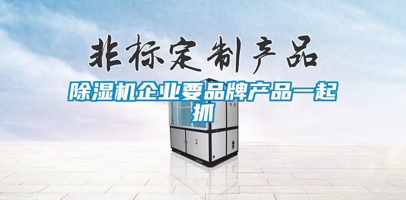除濕機企業(yè)要品牌產(chǎn)品一起抓