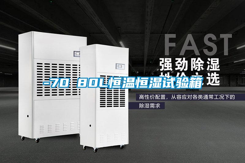 -70℃80L恒溫恒濕試驗箱