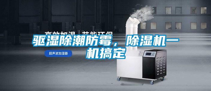 驅濕除潮防霉，除濕機一機搞定
