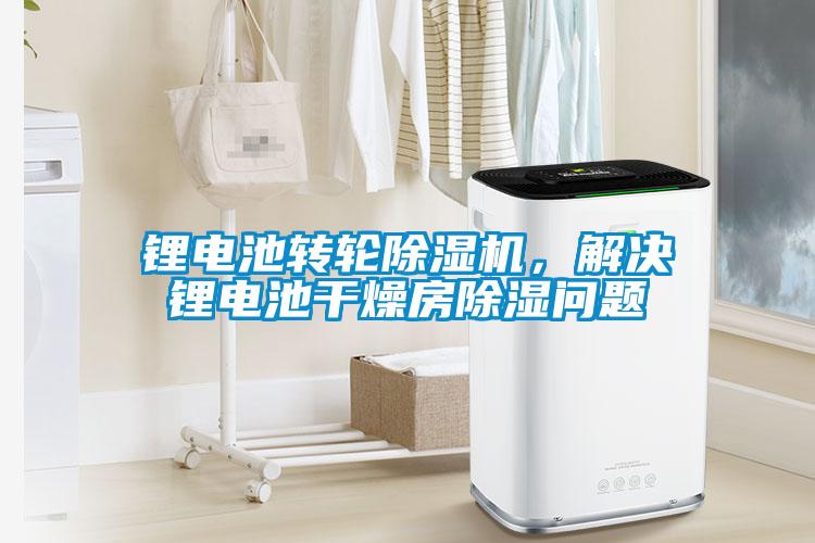鋰電池轉輪除濕機，解決鋰電池干燥房除濕問(wèn)題