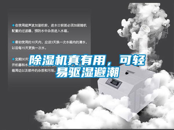 除濕機真有用，可輕易驅濕避潮