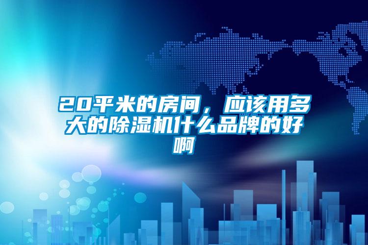 20平米的房間，應該用多大的除濕機什么品牌的好啊