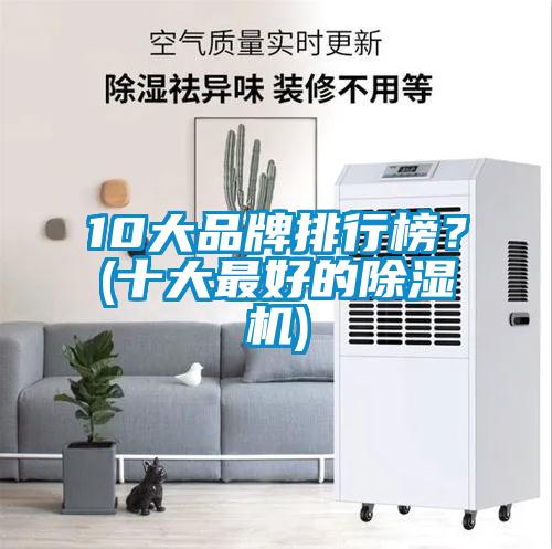 10大品牌排行榜？(十大最好的除濕機)