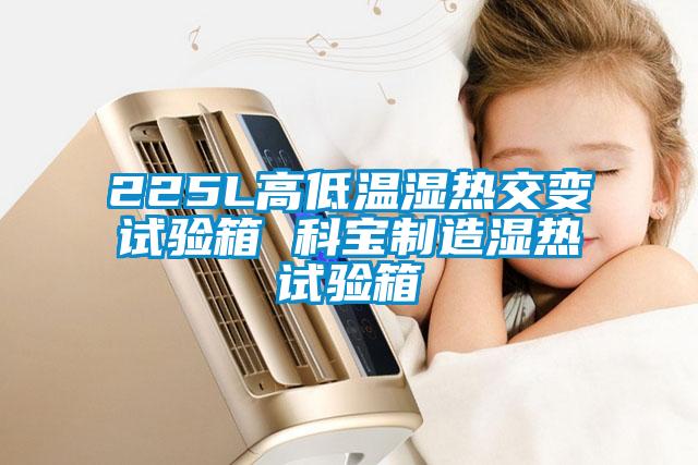 225L高低溫濕熱交變試驗箱 科寶制造濕熱試驗箱