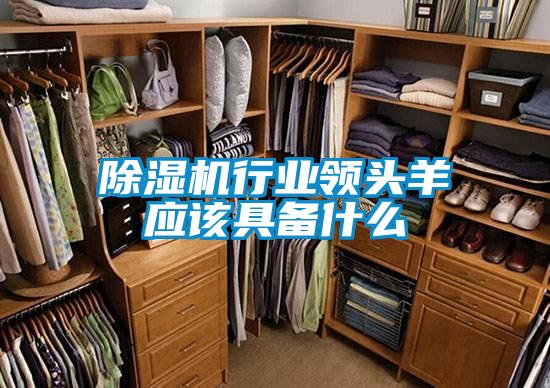 除濕機行業(yè)領(lǐng)頭羊應該具備什么