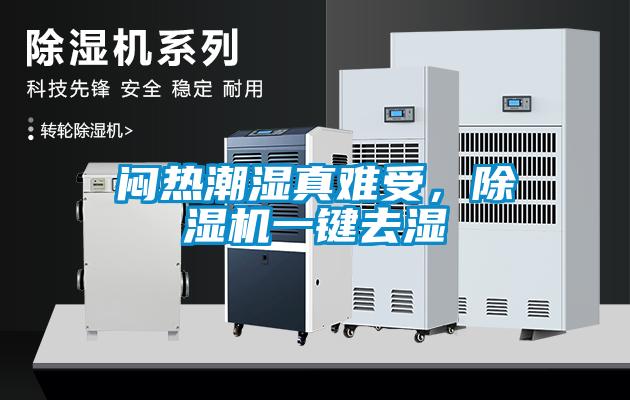 悶熱潮濕真難受，除濕機一鍵去濕