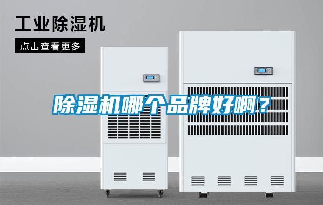 除濕機哪個(gè)品牌好??？