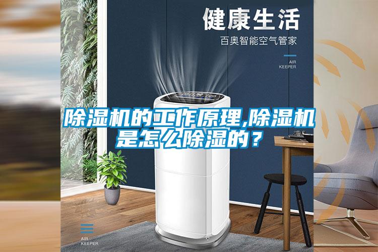 除濕機的工作原理,除濕機是怎么除濕的？