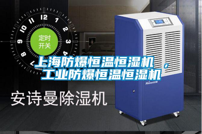 上海防爆恒溫恒濕機 ，工業(yè)防爆恒溫恒濕機