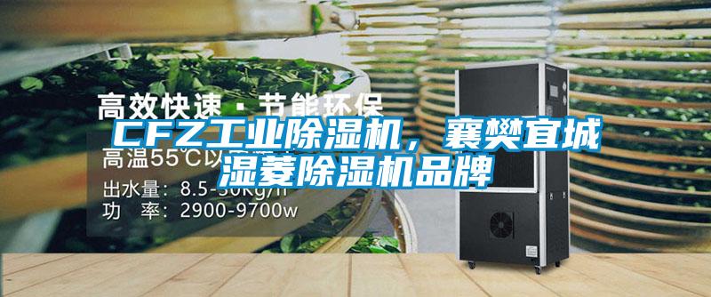 CFZ工業(yè)除濕機，襄樊宜城濕菱除濕機品牌