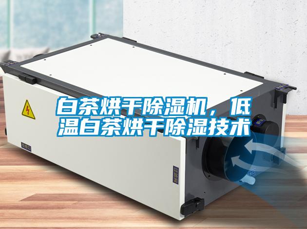 白茶烘干除濕機，低溫白茶烘干除濕技術(shù)