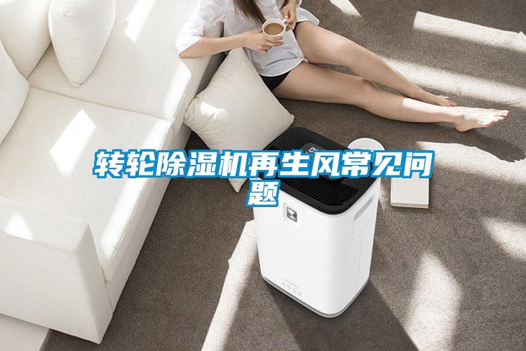 轉輪除濕機再生風(fēng)常見(jiàn)問(wèn)題