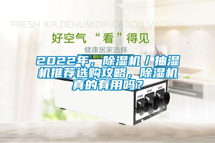 2022年，除濕機／抽濕機推薦選購攻略，除濕機真的有用嗎？