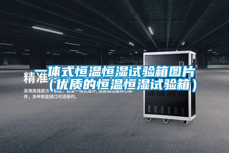 一體式恒溫恒濕試驗箱圖片（優(yōu)質(zhì)的恒溫恒濕試驗箱）