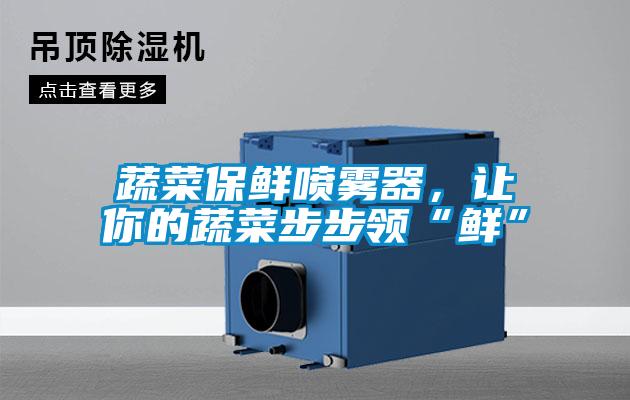 蔬菜保鮮噴霧器，讓你的蔬菜步步領(lǐng)“鮮”