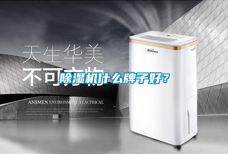 除濕機什么牌子好？