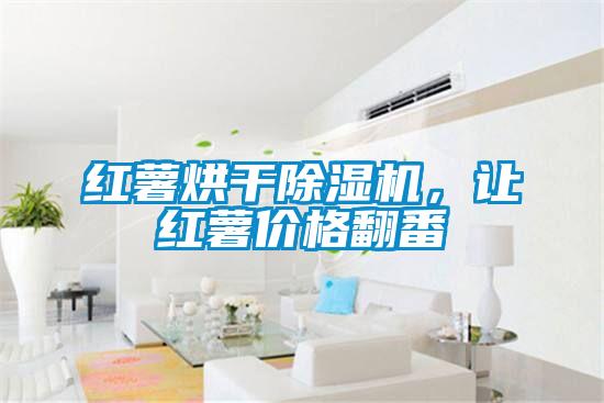 紅薯烘干除濕機，讓紅薯價(jià)格翻番