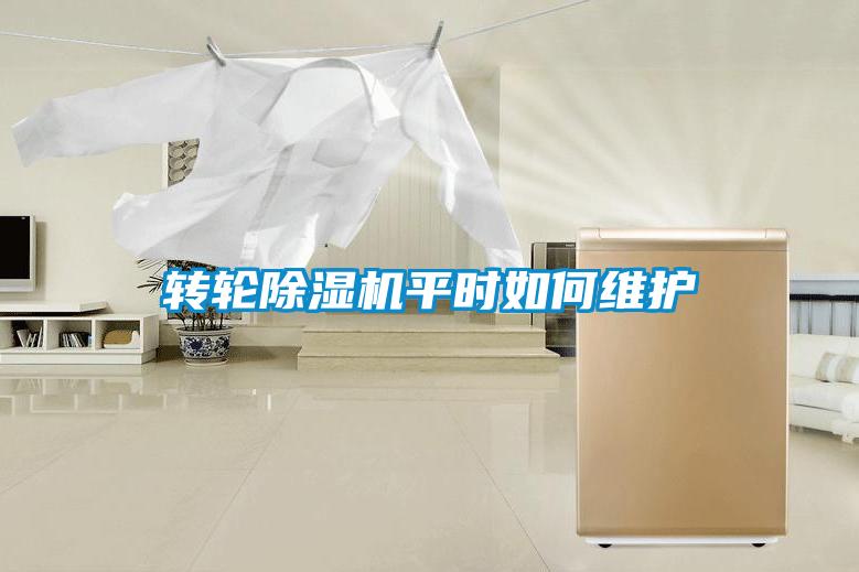 轉輪除濕機平時(shí)如何維護