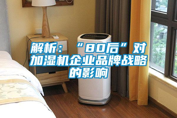 解析：“80后”對加濕機企業(yè)品牌戰略的影響