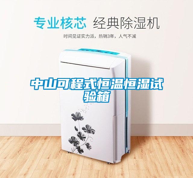 中山可程式恒溫恒濕試驗箱