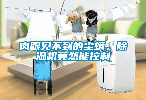 肉眼見(jiàn)不到的塵螨，除濕機竟然能控制