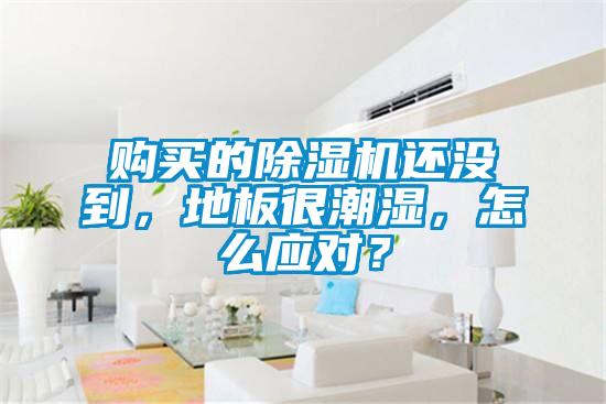 購買(mǎi)的除濕機還沒(méi)到，地板很潮濕，怎么應對？