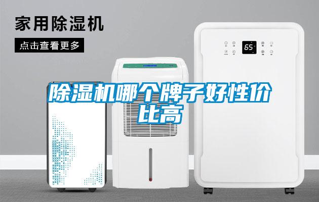除濕機哪個(gè)牌子好性?xún)r(jià)比高