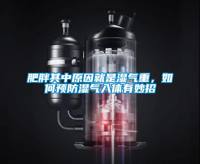 肥胖其中原因就是濕氣重，如何預防濕氣入體有妙招