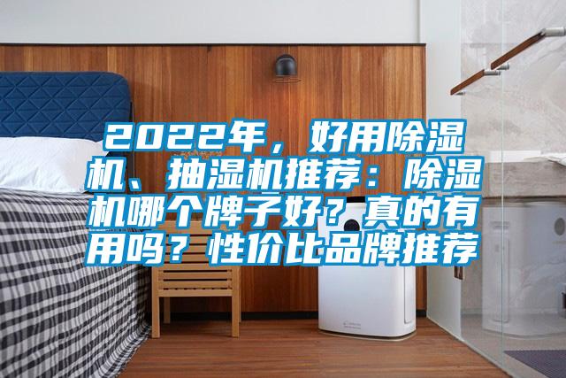 2022年，好用除濕機、抽濕機推薦：除濕機哪個(gè)牌子好？真的有用嗎？性?xún)r(jià)比品牌推薦