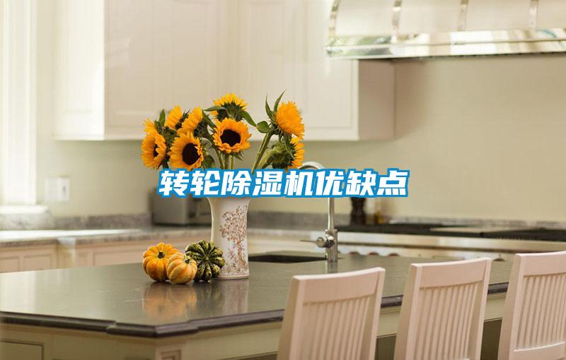 轉輪除濕機優(yōu)缺點(diǎn)