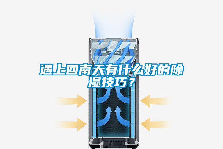 遇上回南天有什么好的除濕技巧？