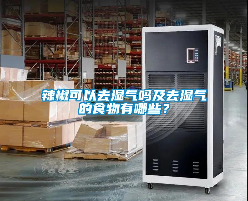 辣椒可以去濕氣嗎及去濕氣的食物有哪些？