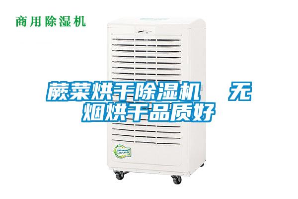蕨菜烘干除濕機  無(wú)煙烘干品質(zhì)好