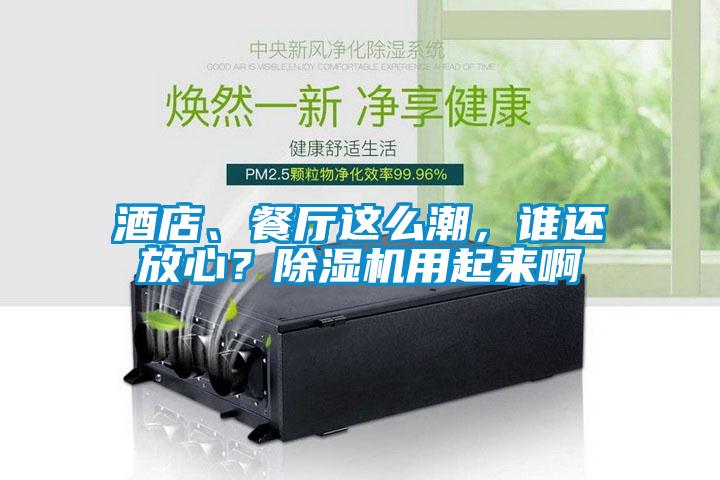 酒店、餐廳這么潮，誰(shuí)還放心？除濕機用起來(lái)啊
