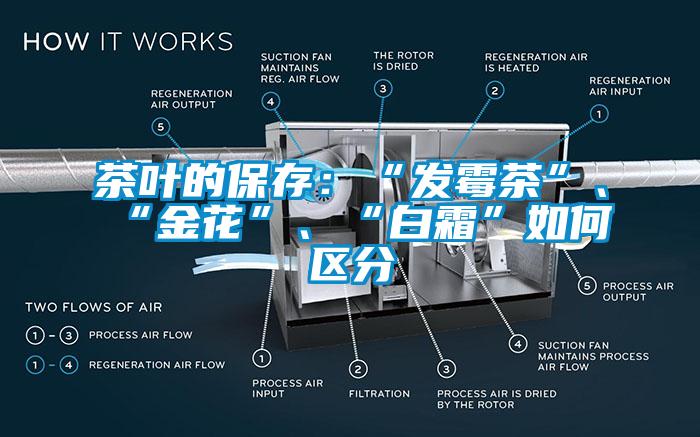 茶葉的保存：“發(fā)霉茶”、“金花”、“白霜”如何區分